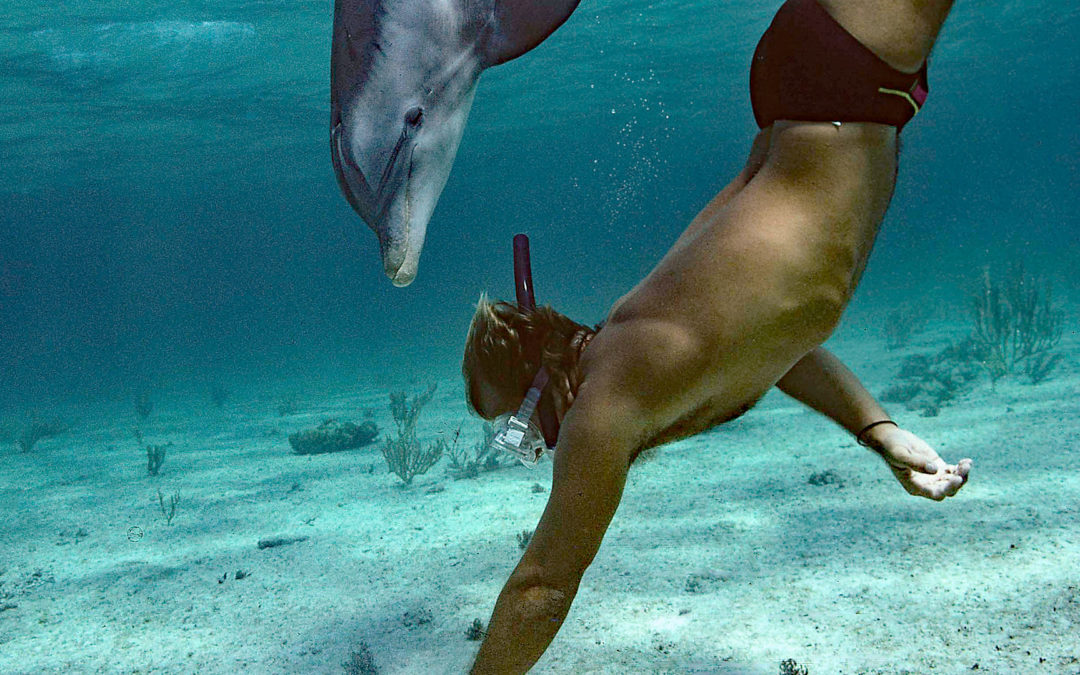 Der mit dem Delfin tanzt – Die Geschichte von Dean und JoJo