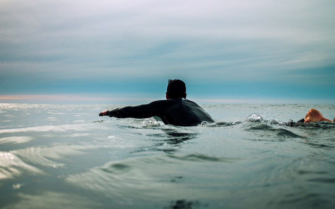 Delfine schützen Surfer vor Hai-Angriff