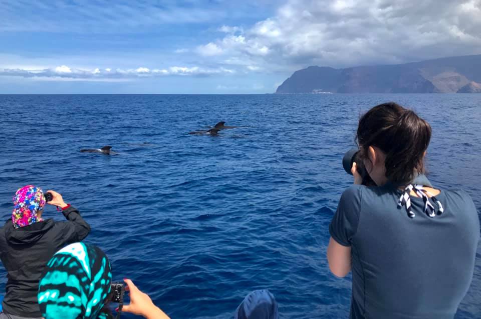 Forschung für die Delfine vor La Gomera.