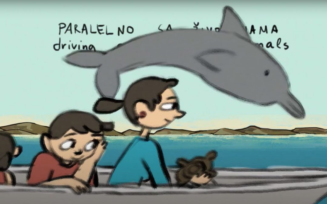 Kroatien: Wie Kindern der Delfinschutz vermittelt wird