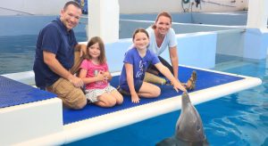 Delfin Winter als Motivator