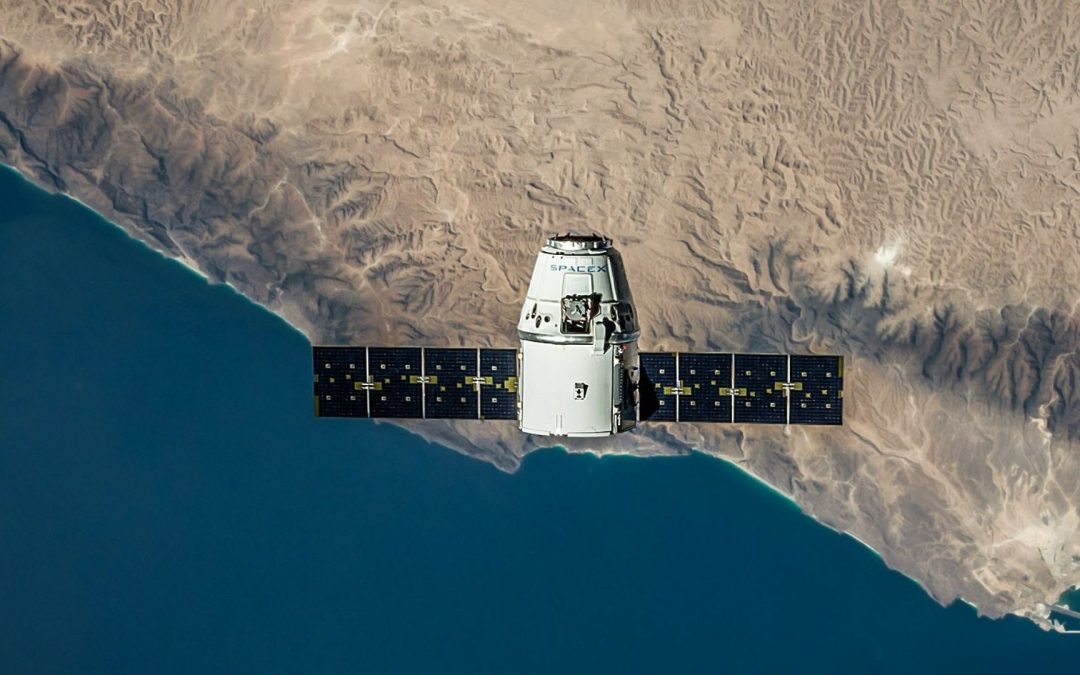 Hoffnung aus dem Weltraum: Satelliten sollen bei Delfin- und Walstrandungen helfen