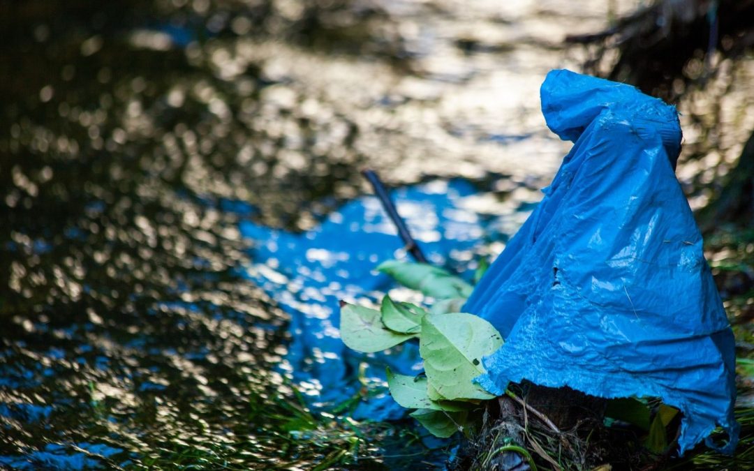 Plastiktüten sind jetzt verboten – endlich!