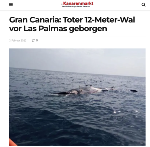 Toter Wal La Palma