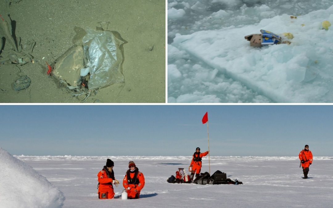 Plastikverschmutzung: Müllhalde Arktis