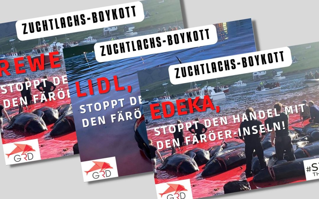 Zuchtlachs-Boykott, um Massaker an Delfinen zu verhindern