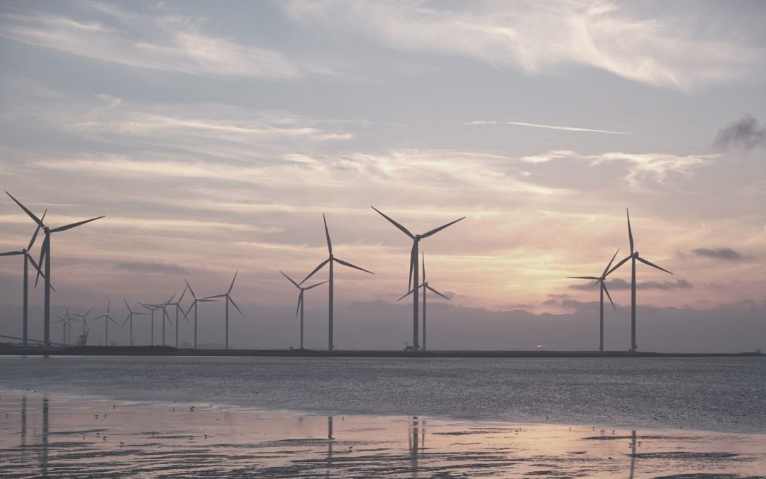 Beschleunigter Ausbau der Windenergie: Habecks „Notverordnung“ stoppen!