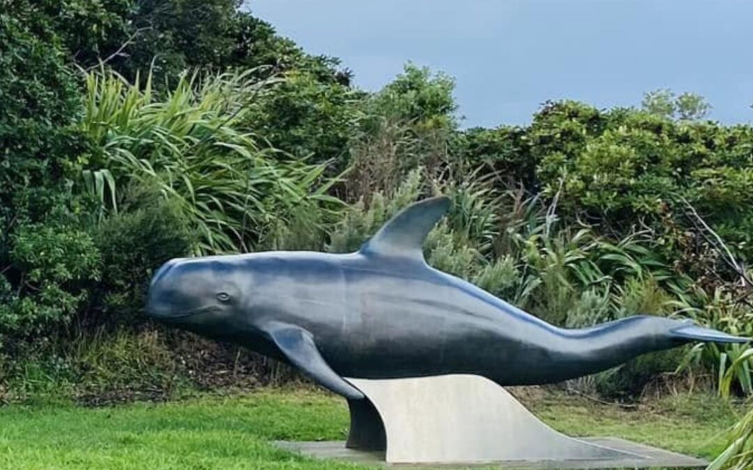 Wie ein Delfin zum Held einer Nation wurde