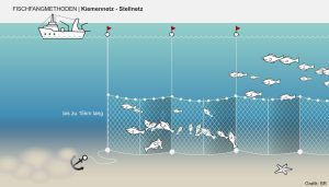 Kiemennetz Stellnetz