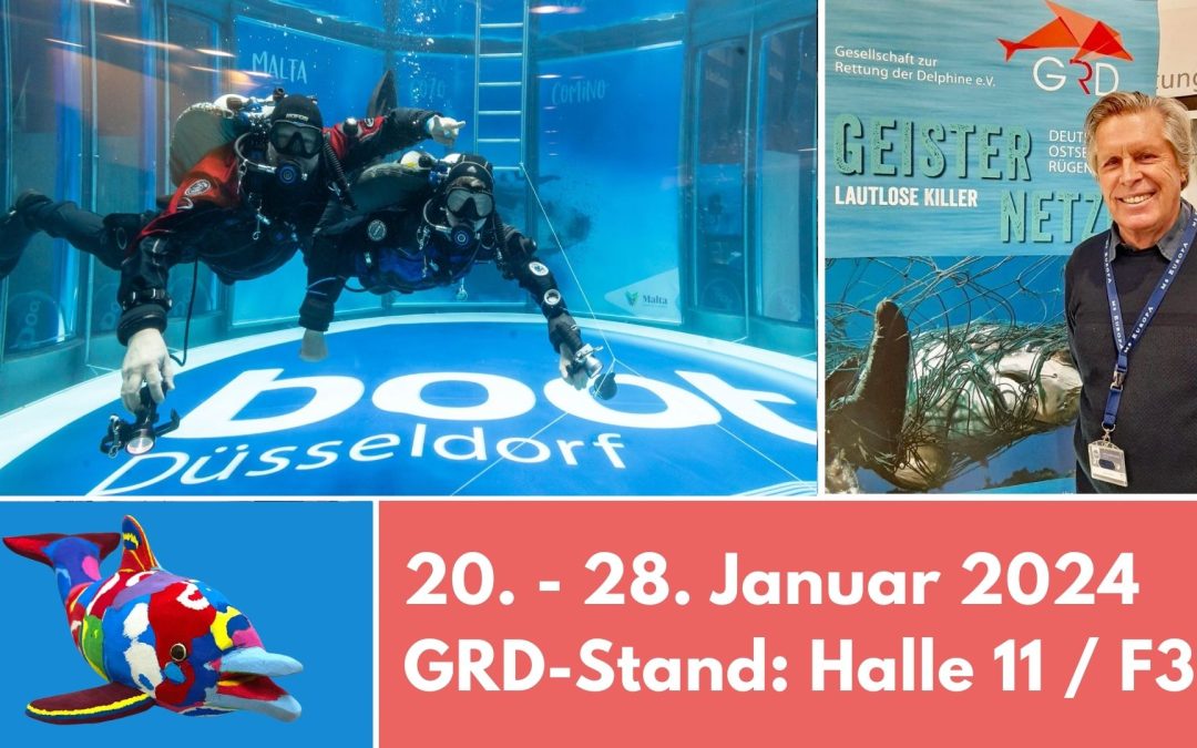 Die GRD auf der Messe boot 2024: Aktionen, Expertenwissen und kunterbunte Delfine