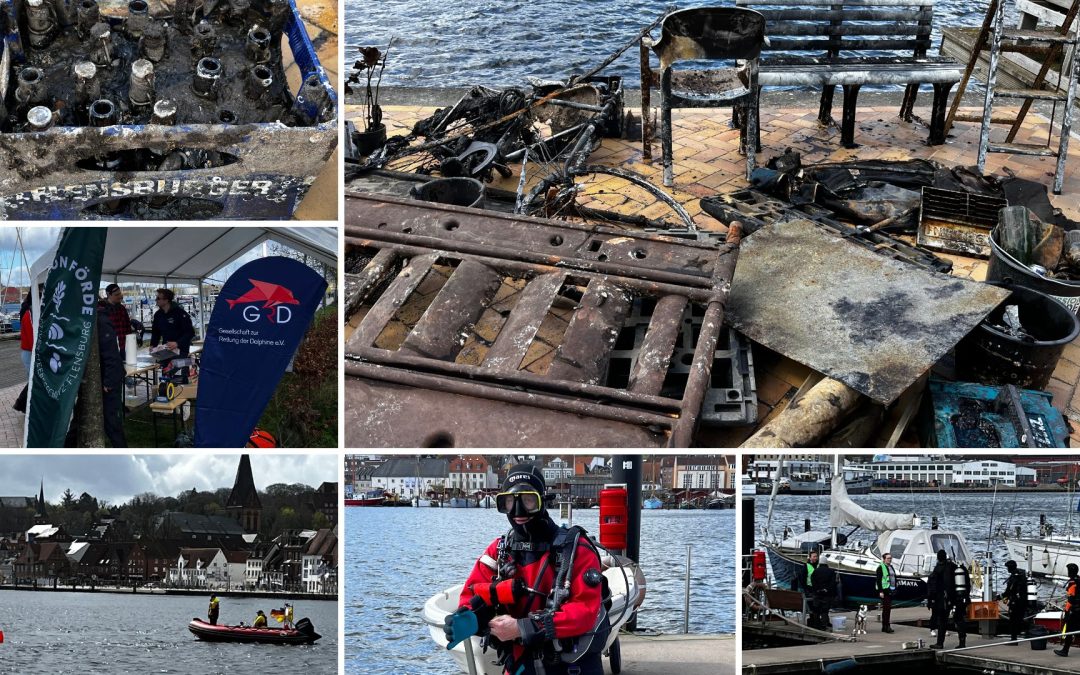 Flensburger Förde im desolaten Zustand: Gemeinsam aktiv zum Schutz des Ostseefjords