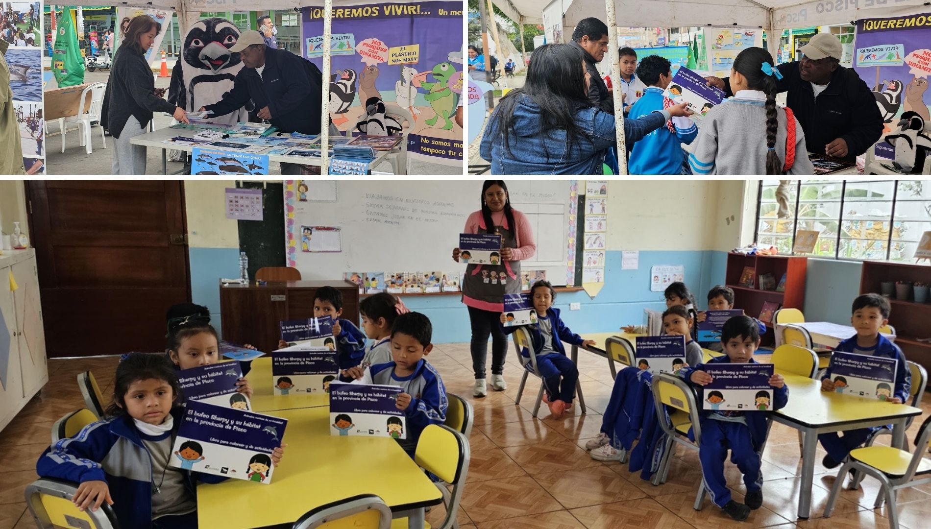 Neustart des Delfinschutzprojekts in Peru: Die Delfine waren während der ganzen Lockdown-Zeit da geblieben!