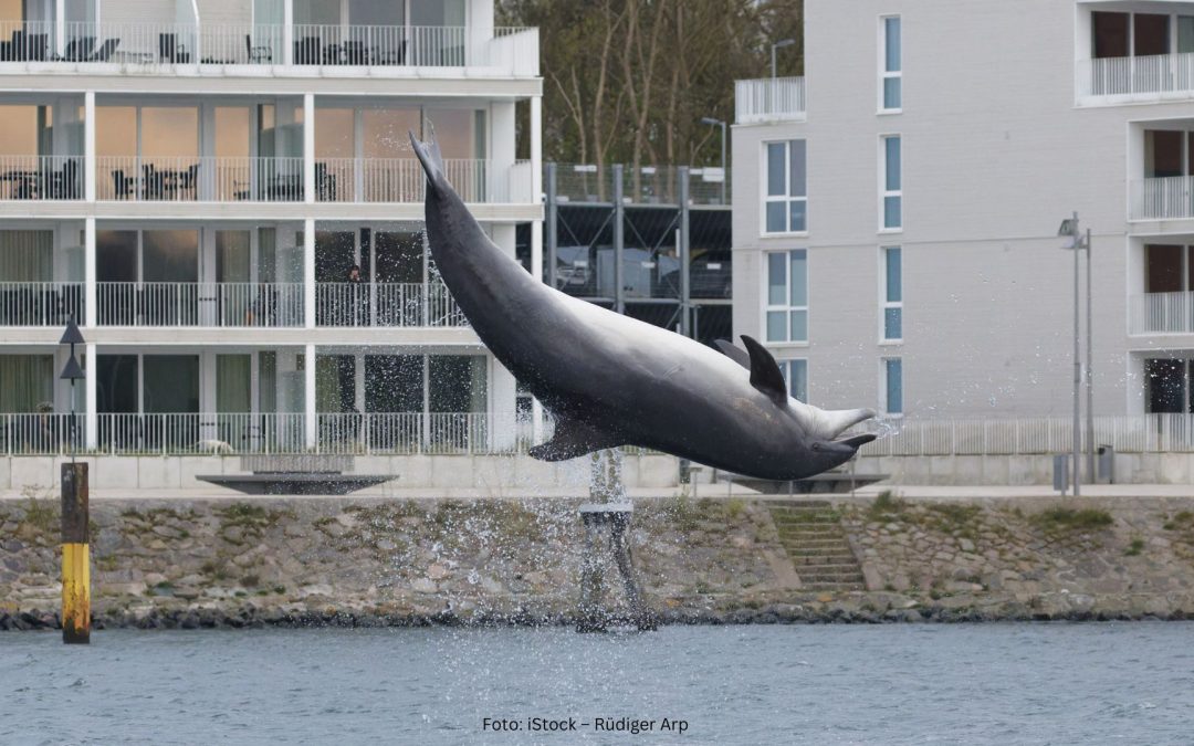 Gesprächiger Delfin: „Delle“ überrascht durch sein Kommunikationsverhalten