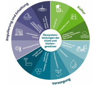 Quelle: Grafik entnommen aus: Studie Faktencheck Artenvielfalt
