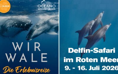 In 2026: Leserreisen mit Tiefgang