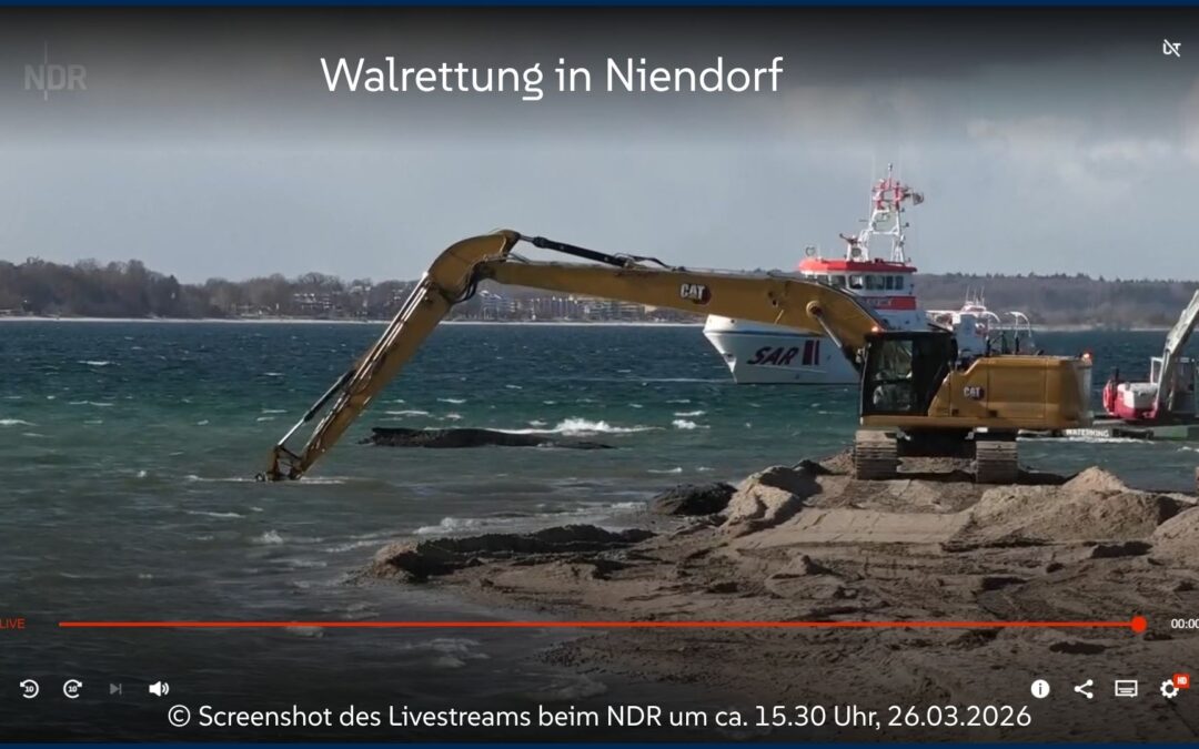 Walgedanken – von Angelika Gebhard