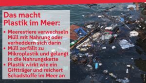 Das macht Plastik im Meer